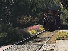 -永定河休闲森林公园