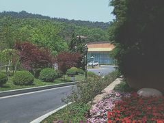 -棒棰岛宾馆景区