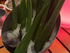 -MR.ROCKY洛奇先生·西餐&酒吧(太古仓店)
