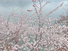-易水湖景区