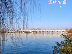 -长广溪湿地公园