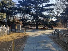 -国家植物园南园