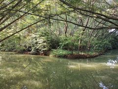 -大湾区中央湿地公园