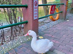 -北岭山森林公园