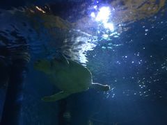 -北国之春国宴(乌兰察布店)