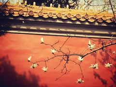 -东华门大街小区