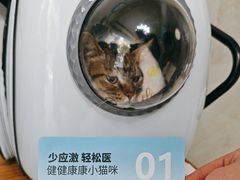 -关爱动物医院·心脏·中兽医·异宠(金牛路分院)