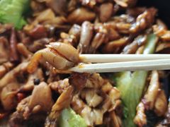 -刘胖子家常菜·蹄花焖藕(中南店)