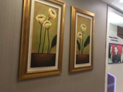 -杭州米兰柏羽医疗美容医院