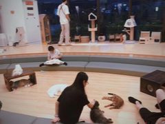 -瑞虹新天地月亮湾