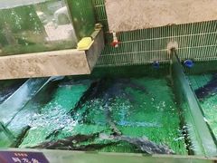 -鱼你相聚·河鲜馆(袁家岭店)