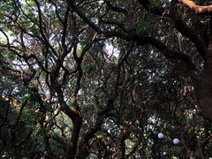 -荔香公园