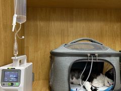 -美联众合动物医院·24h京西诊疗中心
