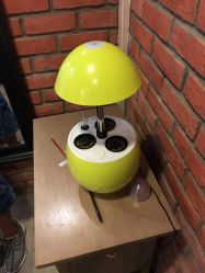 -素颜秀半永久纹眉纹眼线