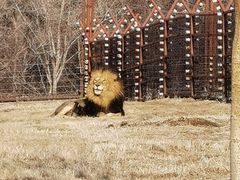 -沈阳森林动物园