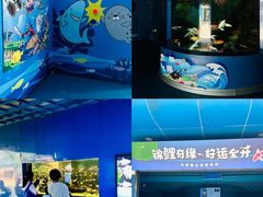 -厦门海底世界