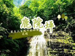 -鹿院坪生态旅游景区