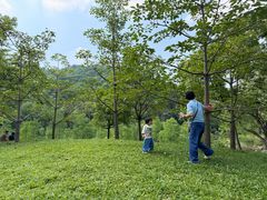 -云溪植物园