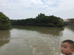 -大湾区中央湿地公园