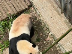 -黔灵山公园