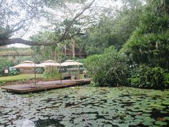 -海南热带野生动植物园