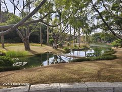 -云溪植物园