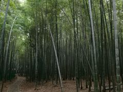 -宝岩生态观光园