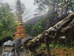 -独树成林