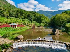 -广州市石门国家森林公园