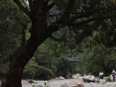 -太平万花山景区
