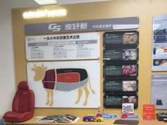 -天猫养车贴膜轻改·蓝电(优匹康桥东路店)