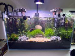 -三旗百汇商品城