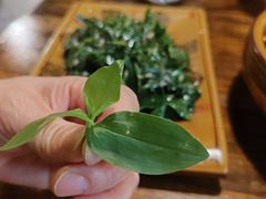 -庭院小酌(瑞莲街店)