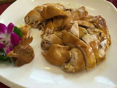 -新梅园不夜粥(龙华店)