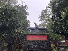 -海口火山口国家地质公园