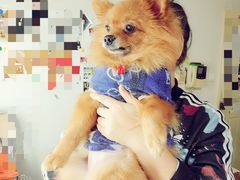 -A+摄影