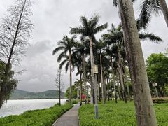 -顺峰山公园