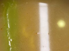 -金鼎雪山牦牛杂火锅(理县总店)