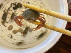 -奉贤海滩