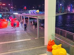 -海港城