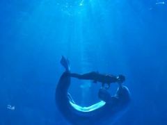 -多彩贵州城极地海洋世界