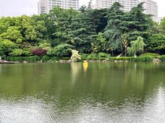-红梅公园
