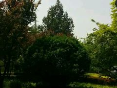 android_upload_pic-南馆公园