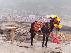 -陕西黄河壶口瀑布旅游区