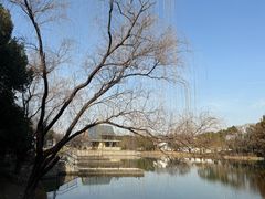 -尚贤河湿地