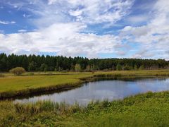 -塞罕坝国家级自然保护区