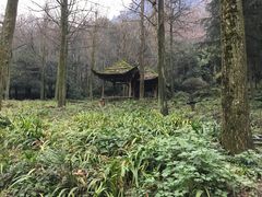 -青城山