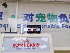 -瑞派天宁宠物医院·猫科·异宠中心