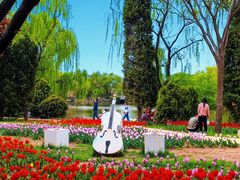 -石家庄市植物园