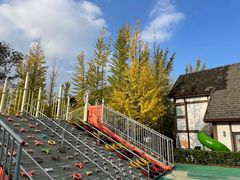 -太阳岛度假酒店